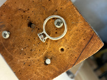 Sparling Rose with a twist