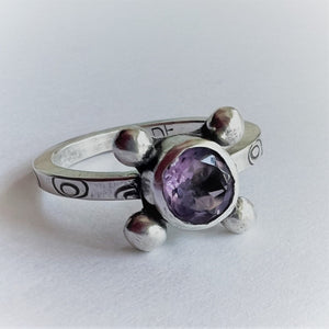 Purple Polaris