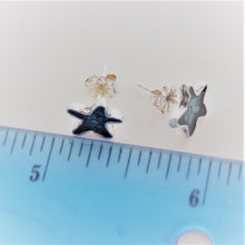 Star Earrings