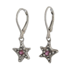 Star Sister Earrings